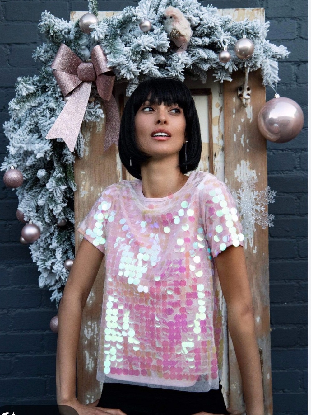 Eva Franco Anthropologie Sequin Mesh Short Sleeve Top - Pink EUC